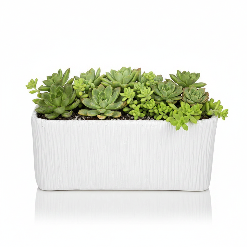 Rita Rectangular Embossed Planter - Large