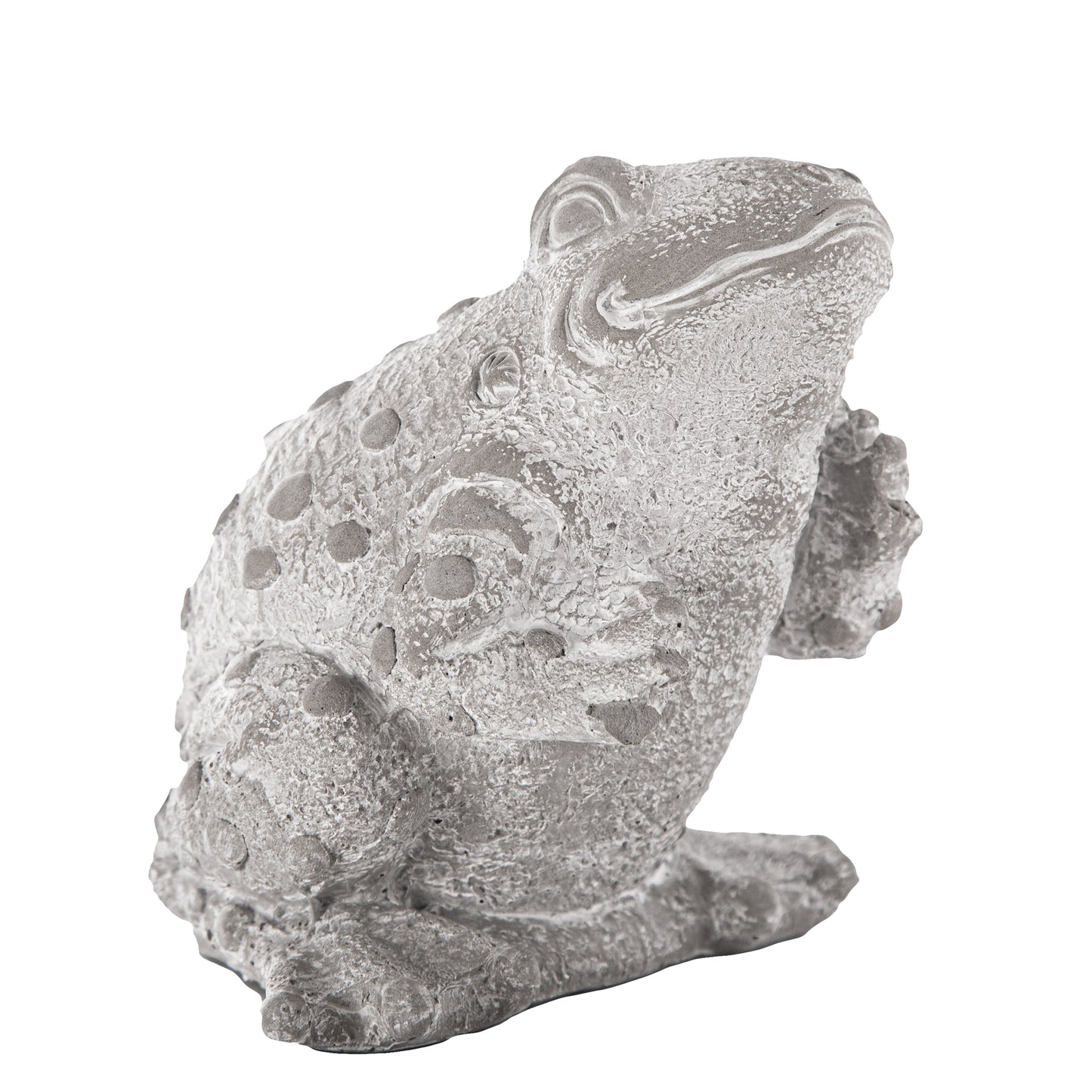Verlo Standing Rainfrog Figurine