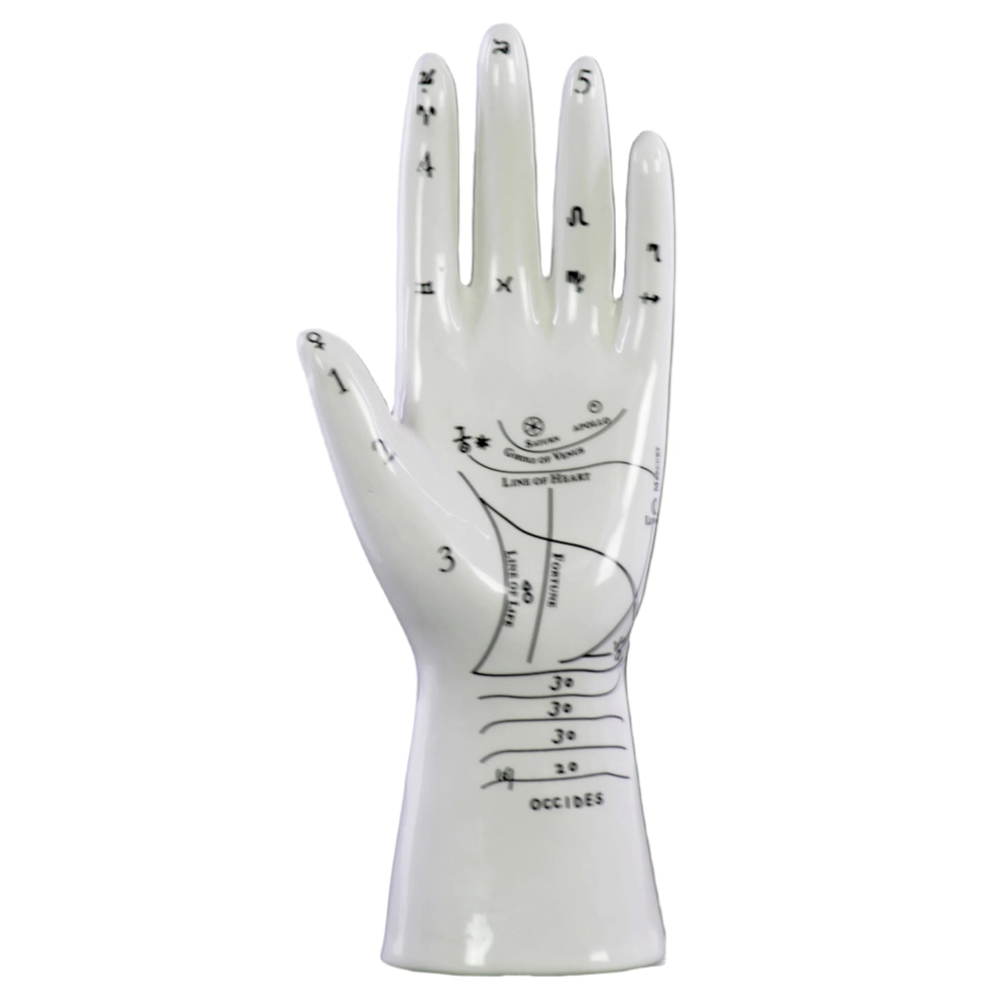 Kismet Ceramic Palmistry Hand Decor