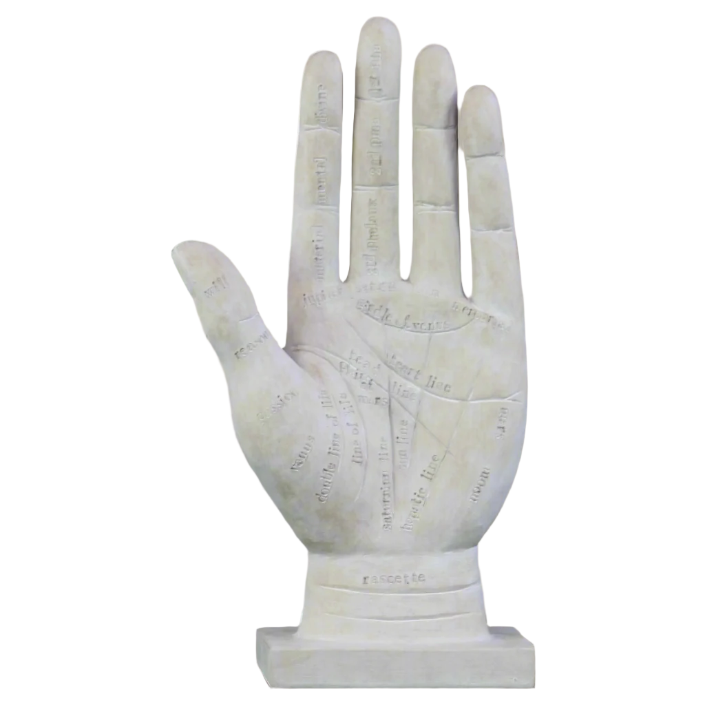 Norell Palmistry Hand Sculpture
