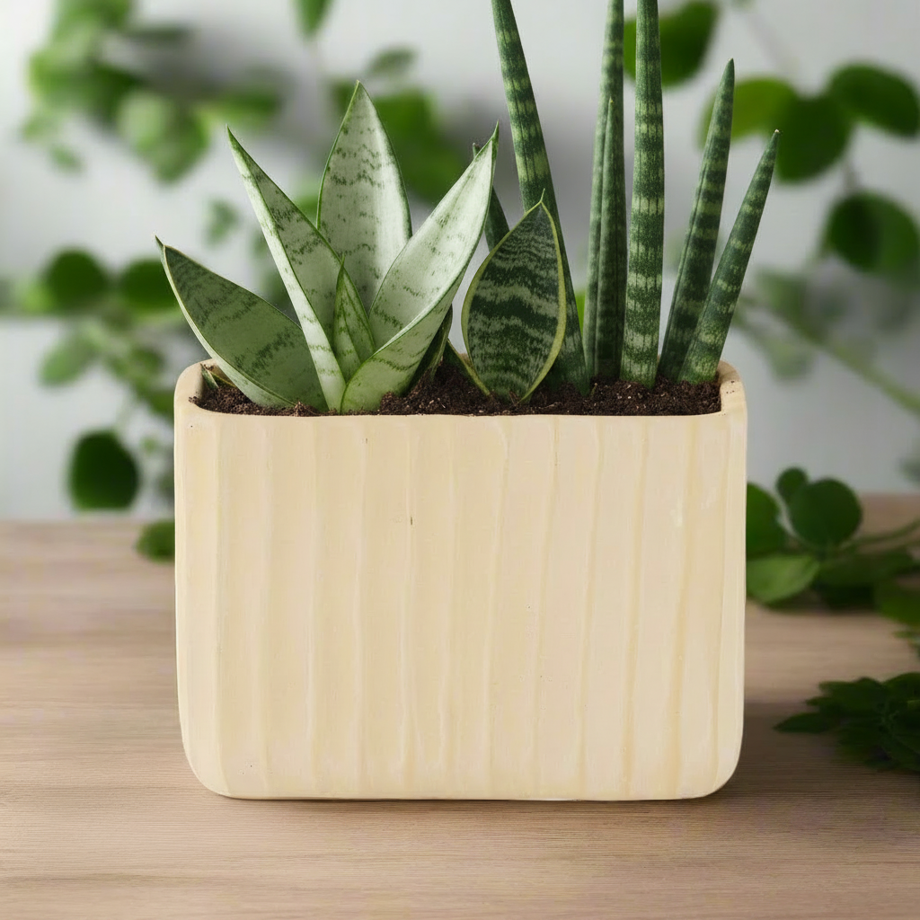 Bridget Cement Tall Rectangular Pot