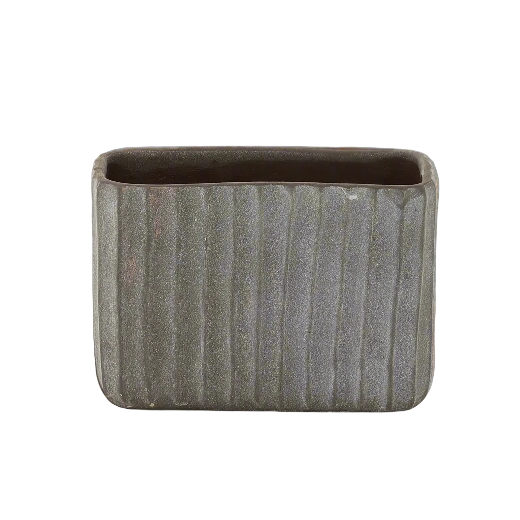 Rectangular ceramic planter on a wooden surface with a blurred indoor setting