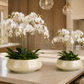 Melia Shell Mosaic Bowl Planter Set (Set of 2)
