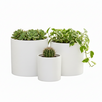 Olenna Textured Ceramic Pot Set (Set of 3)