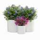 Olenna Textured Ceramic Pot Set (Set of 3)
