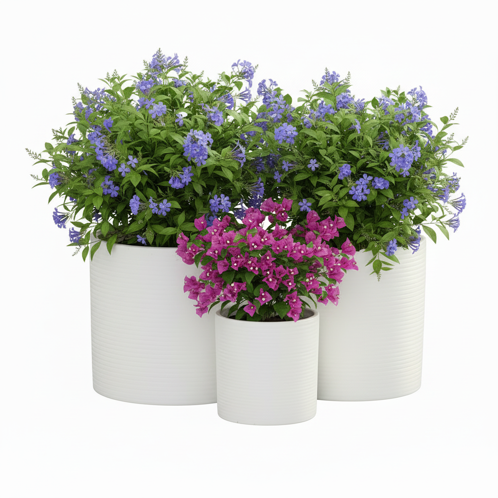 Olenna Textured Ceramic Pot Set (Set of 3)
