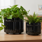 Chiara Ceramic Round Pots with Embossed Geometric Spike Pattern (Set of 2)