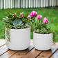 Selvano Two-toned Ceramic Planter Set (Set of 2)