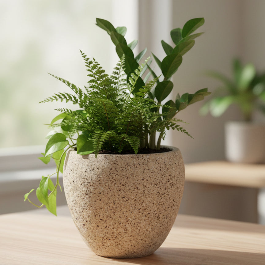Granova Beige Cement Oval Pot
