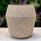 A beige cement planter with a textured surface, displayed against a blurred background of plants.