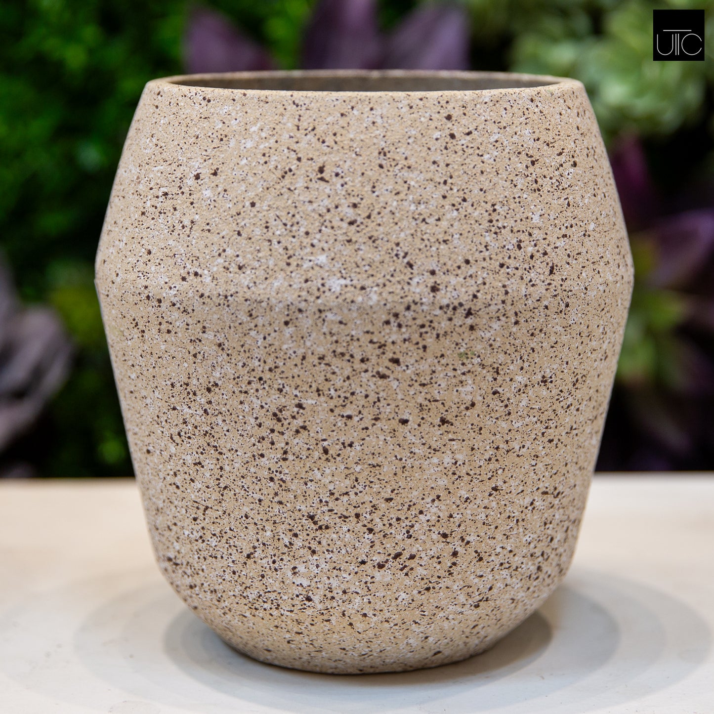 A beige cement planter with a textured surface, displayed against a blurred background of plants.