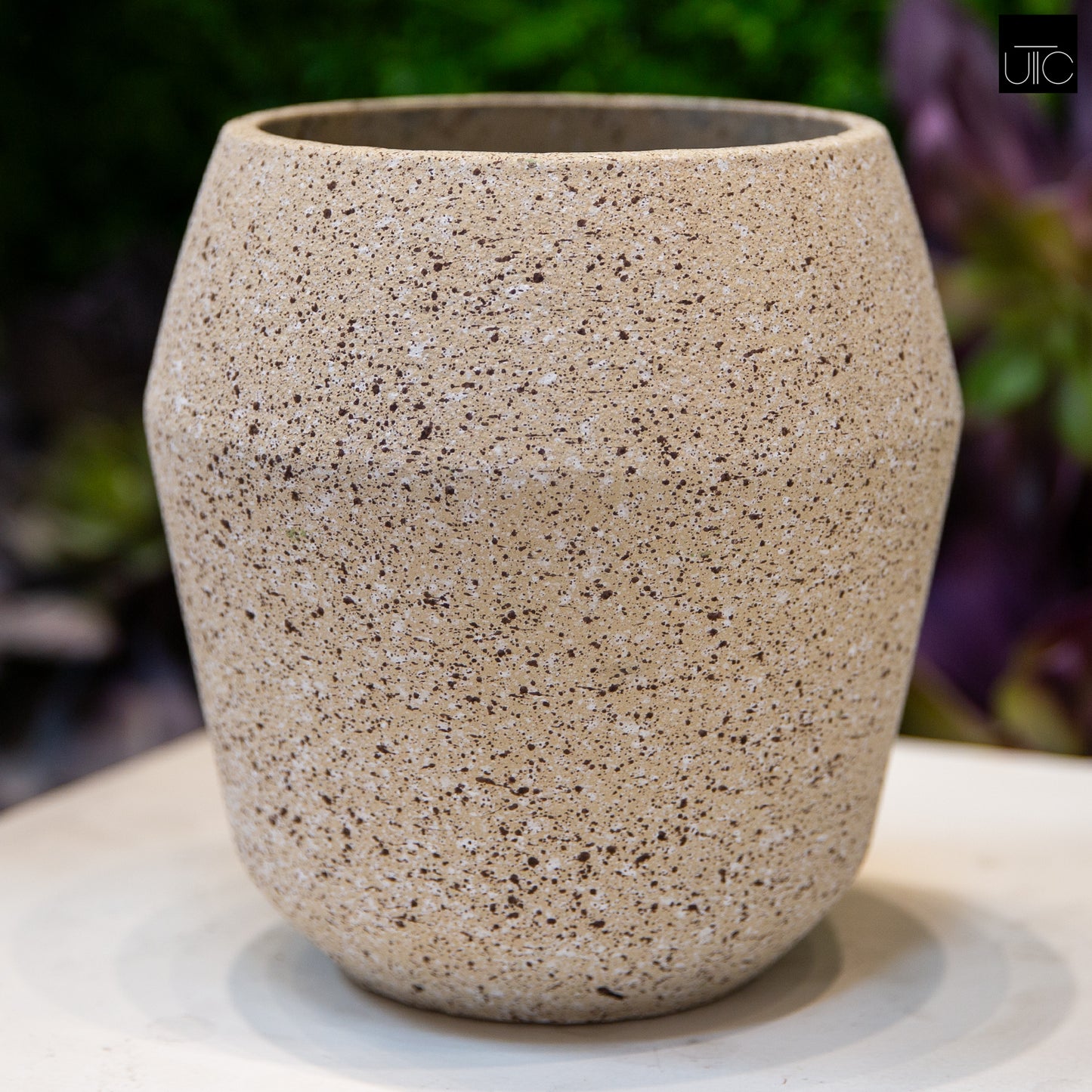 Fiora Granito Cement Planter