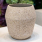 Fiora Granito Cement Planter
