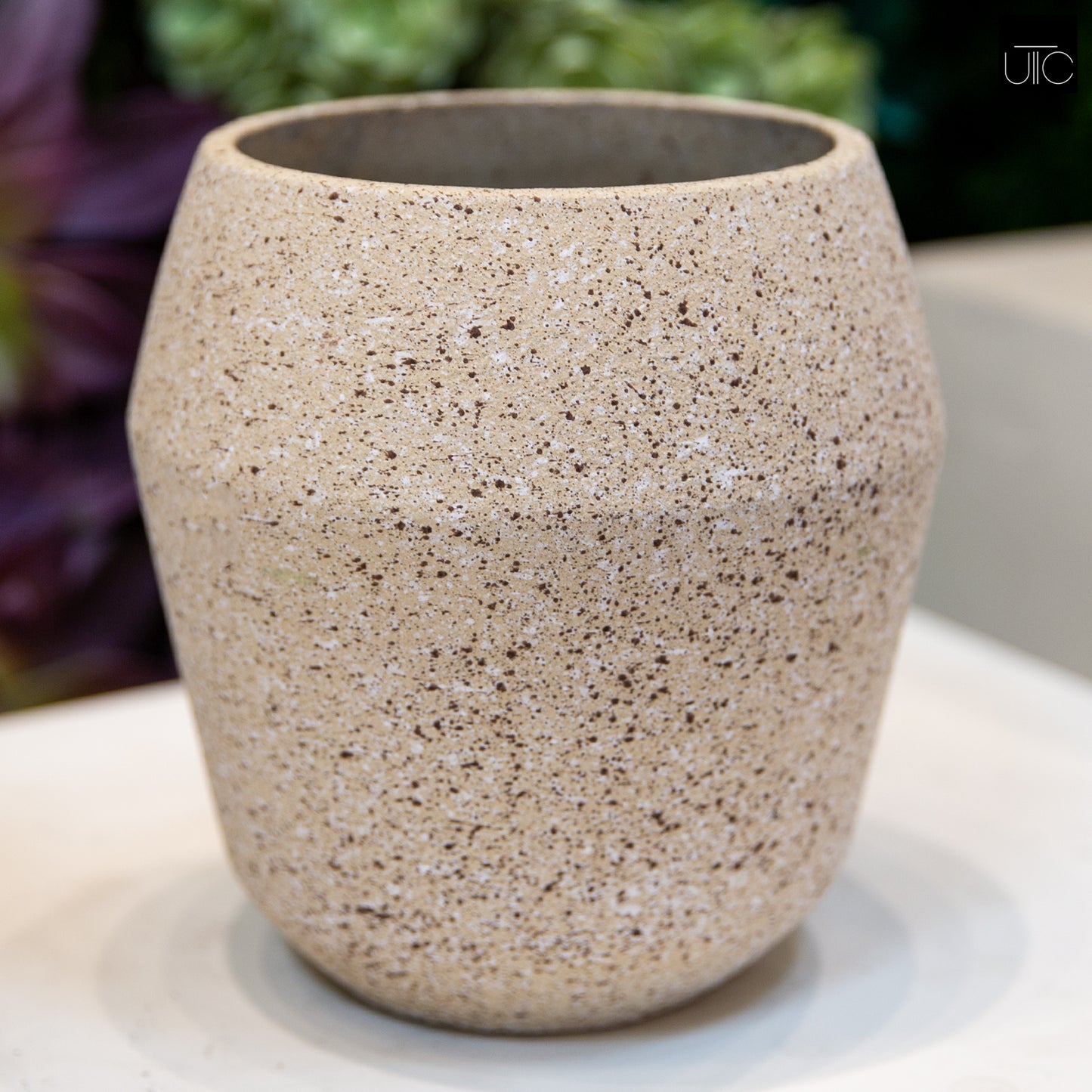 Fiora Granito Cement Planter
