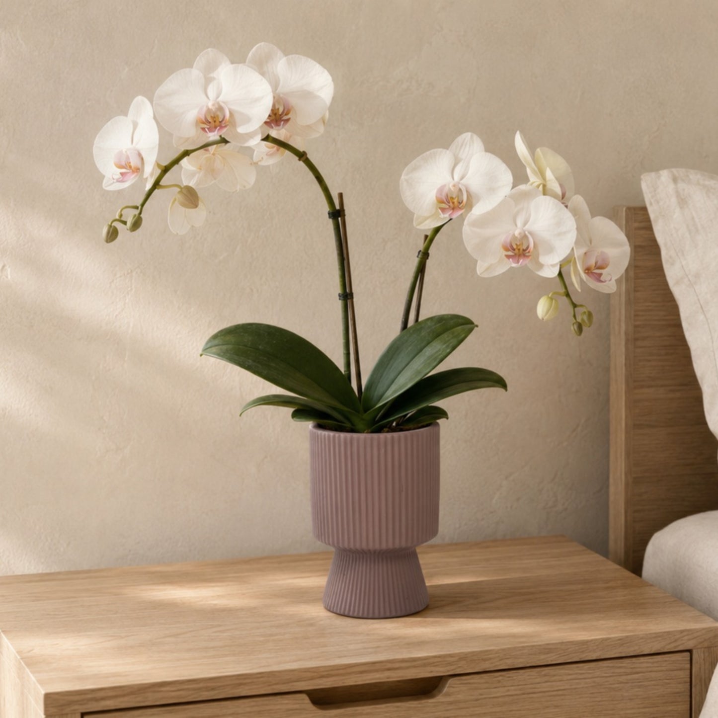 Oksana Ribbed Stoneware Vase with Tapered Pedestal Base