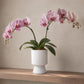 Oksana Ribbed Stoneware Vase with Tapered Pedestal Base