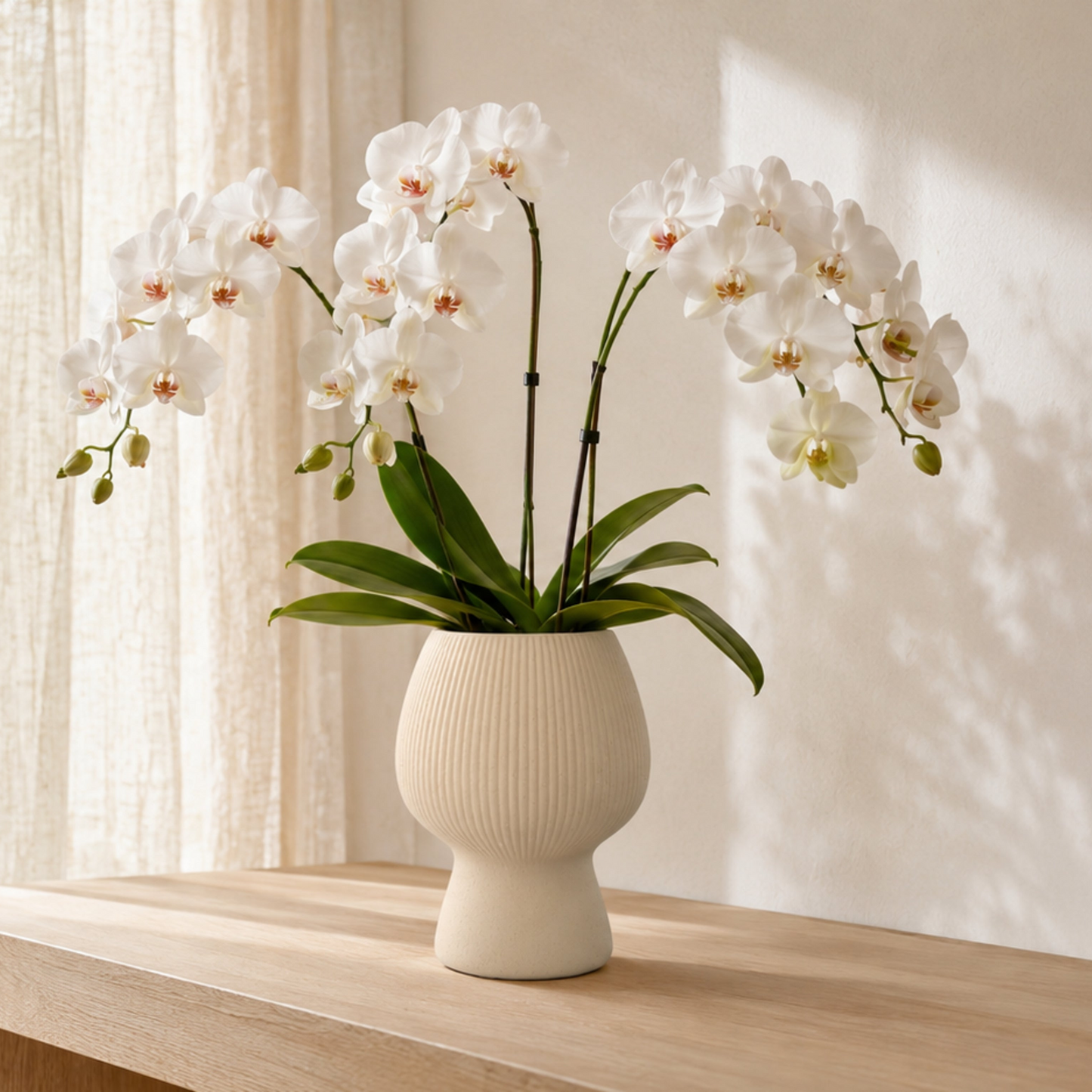 Zoryana Sculpted Stoneware Pot with Pedestal Base