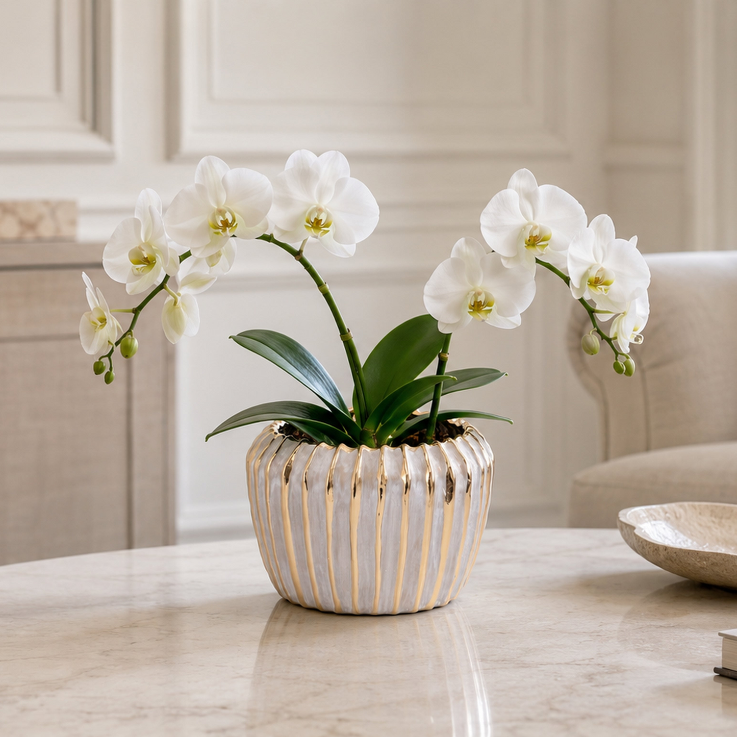 Jaleh Ribbed Ceramic Pot