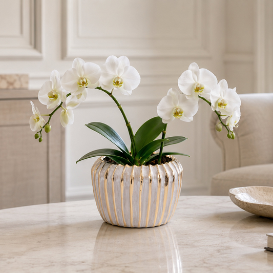 Jaleh Ribbed Ceramic Pot