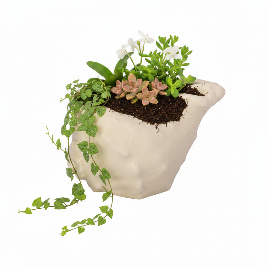 Aqua White Ceramic Shell Planter Decorative Pot