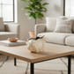Aqua White Ceramic Shell Planter Decorative Pot