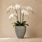 Zane Ribbed Cement Planter