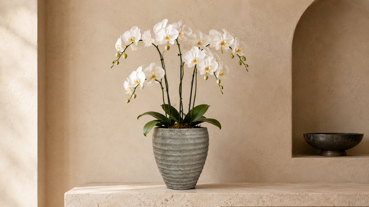 Olya Textured Barrel-Style Cement Planter