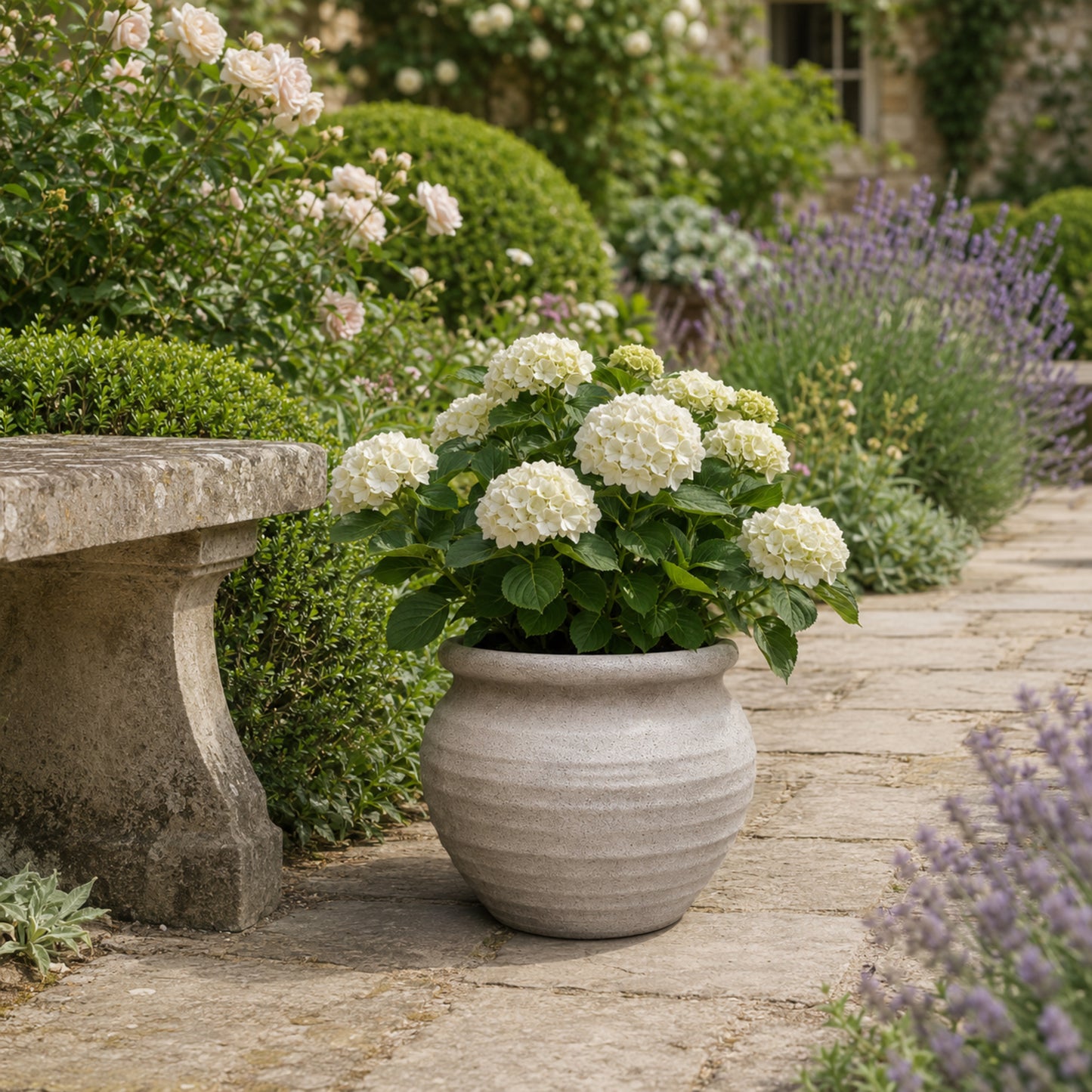 Della Rustic Jar-Style Cement Planter