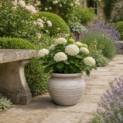Della Rustic Jar-Style Cement Planter