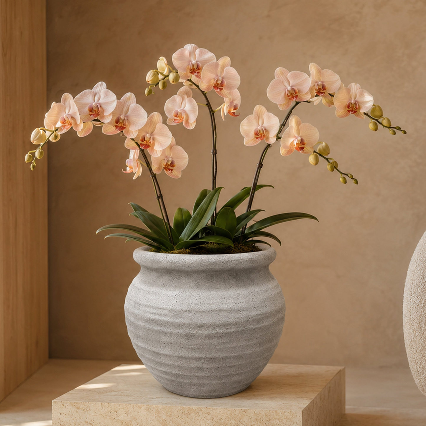 Della Rustic Jar-Style Cement Planter