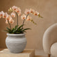 Kamilia Rustic Bell-Shaped Cement Planter