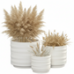 Lucie Ceramic Round Pot (Set of 3)