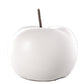 Nolyn Ceramic Apple Decor