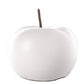 Nolyn Ceramic Apple Decor