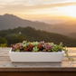 Alessia Ceramic Low Rectangle Pot