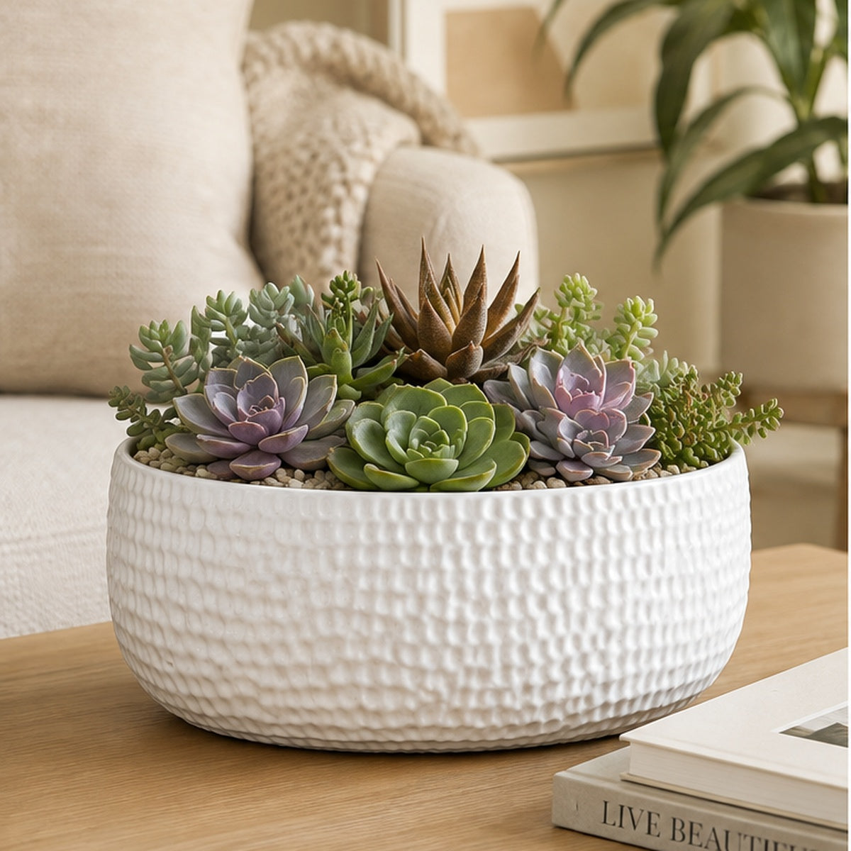 Licha Textured Ceramic Low Oval Planter Set (Set of 2)