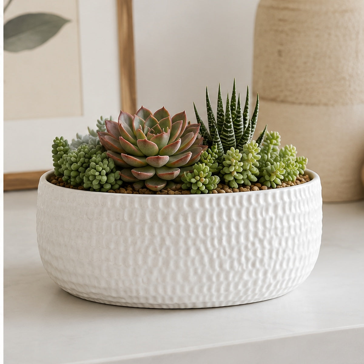 Licha Textured Ceramic Low Oval Planter Set (Set of 2)