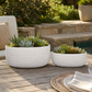 Licha Textured Ceramic Low Oval Planter Set (Set of 2)