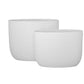 Ceryn Symmetry Oval Planter Set (Set of 2)