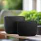 Ceryn Symmetry Oval Planter Set (Set of 2)