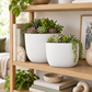 Dovara Symmetry Oval Ceramic Planter Set (Set of 2)