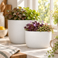 Dovara Symmetry Oval Ceramic Planter Set (Set of 2)
