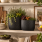 Dovara Symmetry Oval Ceramic Planter Set (Set of 2)