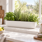 A long white rectangular planter filled with green herbs, including basil, rosemary, and oregano, displayed on a white marble kitchen counter in front of a bright window.