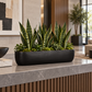 A long black rectangular planter filled with tall green snake plants and small mossy greenery, placed on a gray stone countertop in a modern interior setting.