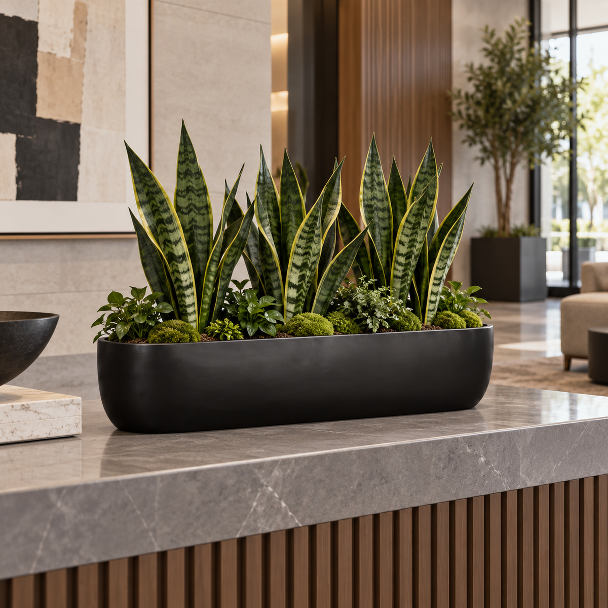 A long black rectangular planter filled with tall green snake plants and small mossy greenery, placed on a gray stone countertop in a modern interior setting.