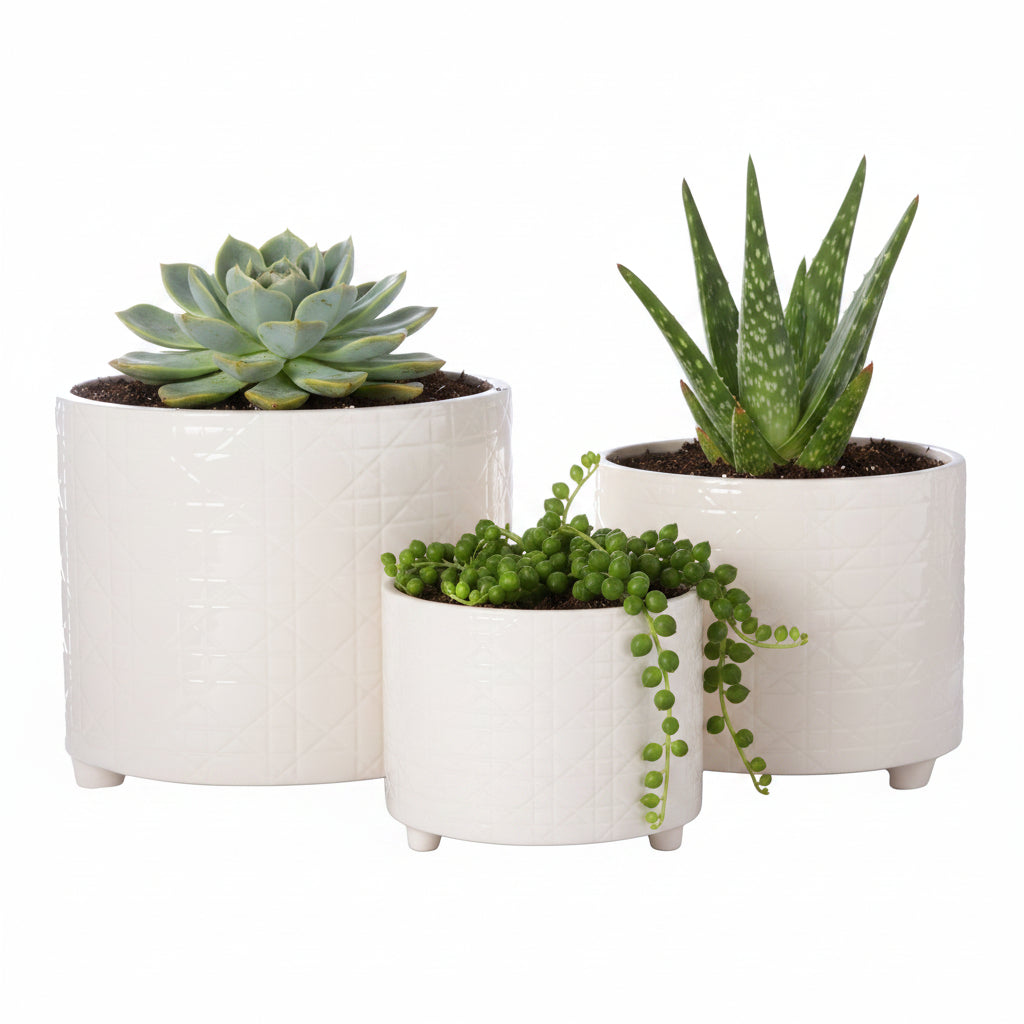 Ceramic Round Pot Gloss Finish Cream-10.00"H -136