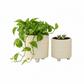 Citra Cream Ceramic Planter Pots with Contrasting Pattern & Tripod Stand (Set of 2)