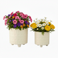 Citra Cream Ceramic Planter Pots with Contrasting Pattern & Tripod Stand (Set of 2)
