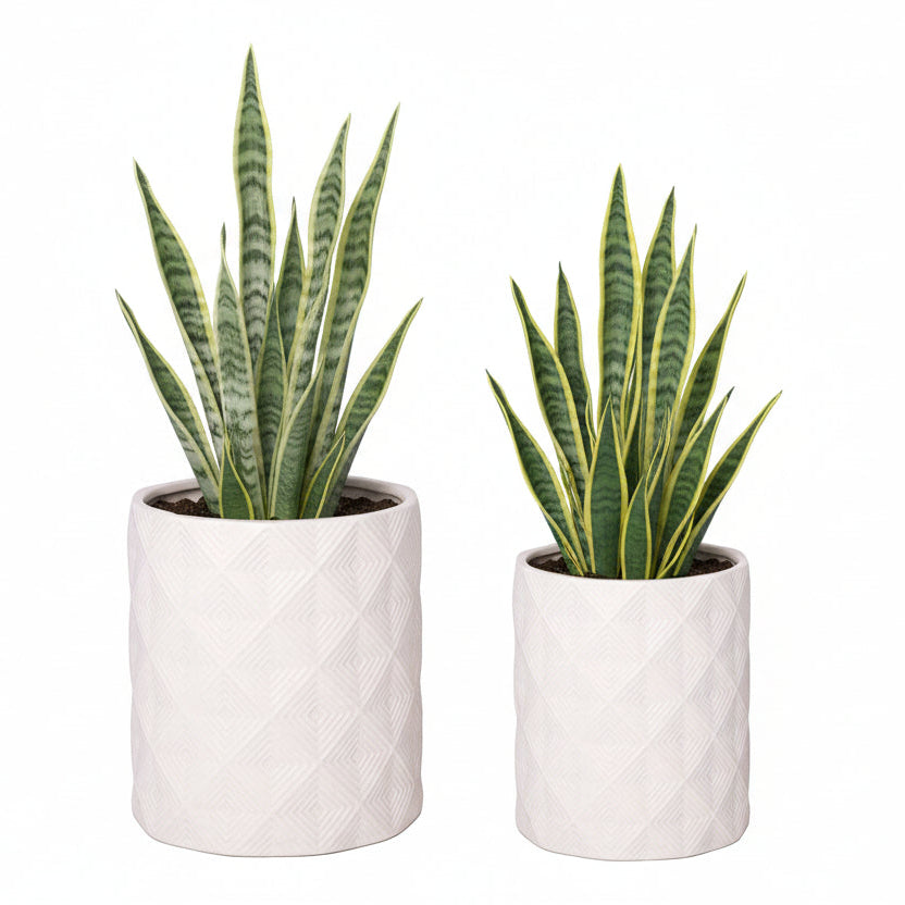 Grettina Ceramic Faceted Jar (Set of 2)